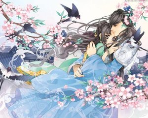 女人全身精油按摩